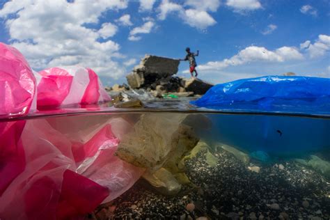 How bad is plastic pollution?