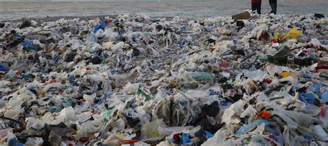 How bad is plastic waste?