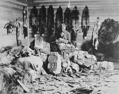 How bad is the fur trade?