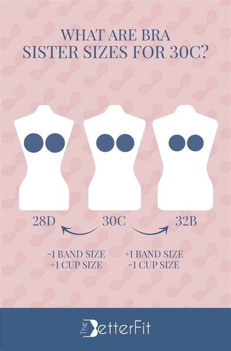 How big are 30C breasts?