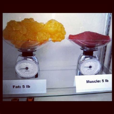 How big is 1kg of fat?