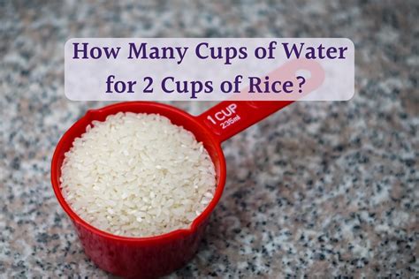 How big is 2 cups of rice?