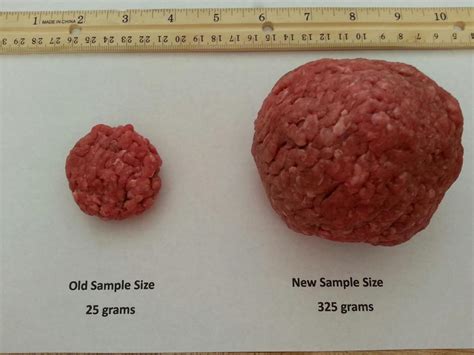 How big is 50g of meat?