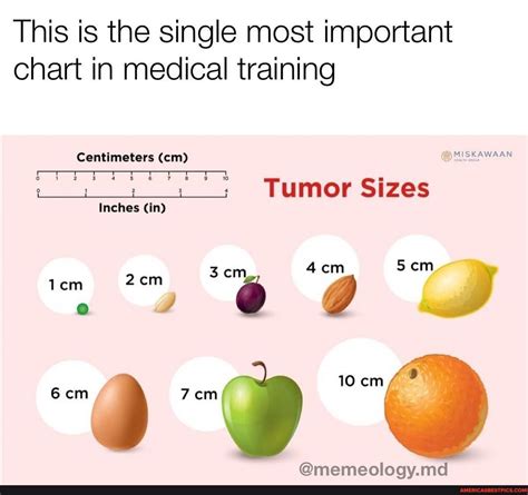 How big is 6 cm tumor?