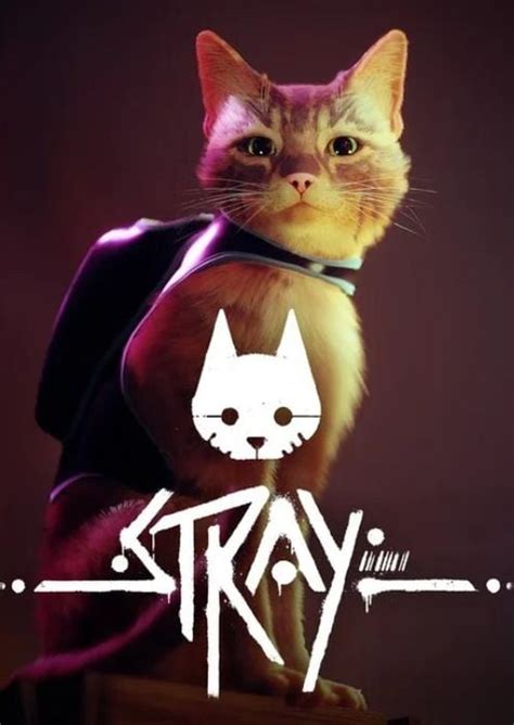 How big is Stray on PC?