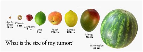 How big is a 7 cm tumor?