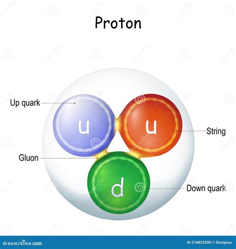 How big is a gluon?