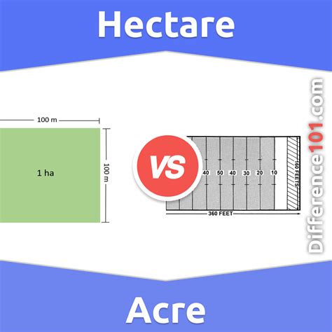 How big is a hectare vs acre?