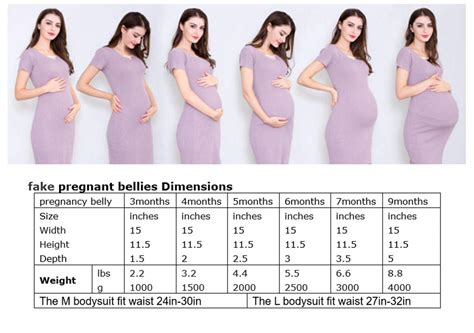 How big is a normal belly?