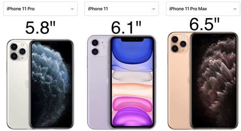 How big is iPhone 11?