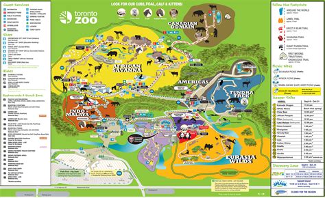 How big is the Toronto Zoo?