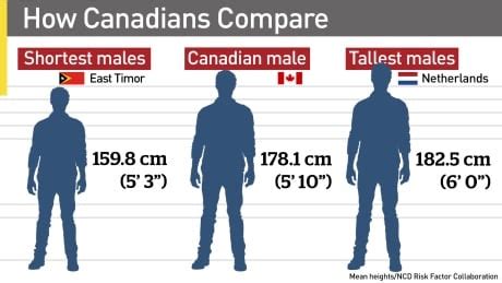 How big is the average Canadian man?