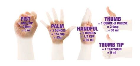 How big is your stomach compared to your hand?