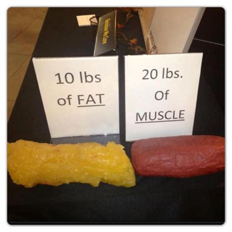 How big of a difference is 10 pounds of fat?