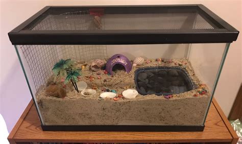 How big of a tank do 2 hermit crabs need?