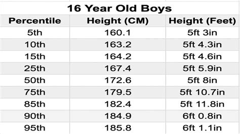 How big should a 16 year old be?