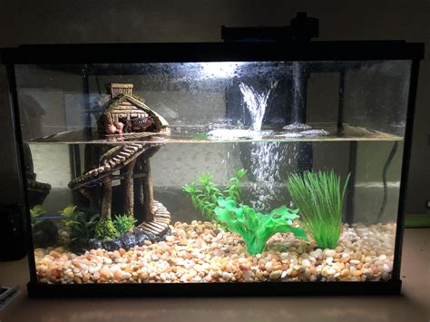 How big should a crab tank be?