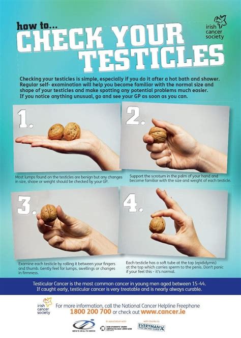 How big should a testicular lump be?