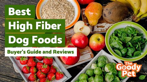 How can I add fiber to my dog's diet naturally?