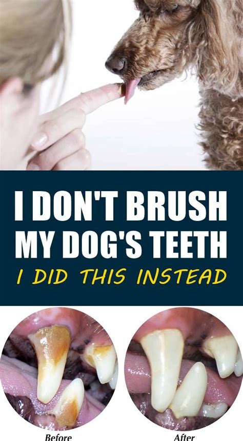 How can I clean my dogs teeth naturally?