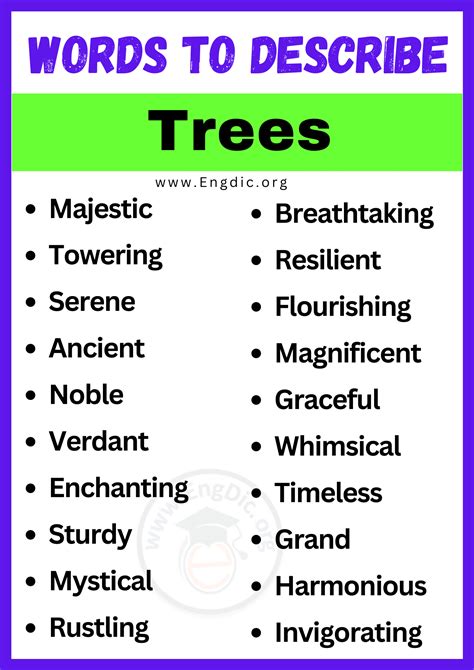 How can I describe a tree?