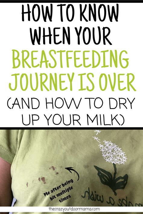 How can I dry my breast milk without mastitis?