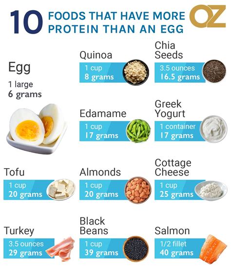 How can I get protein without eggs?