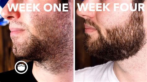 How can I grow my beard in 7 days?