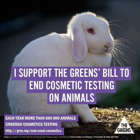 How can I help stop animal testing?