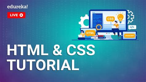 How can I learn HTML and CSS fast?