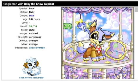 How can I make my Neopet smarter?