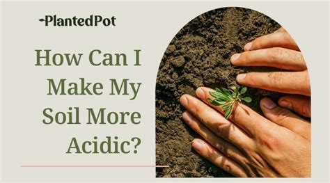How can I make my soil acidic naturally?
