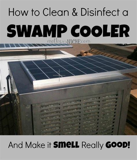 How can I make my swamp cooler smell better?