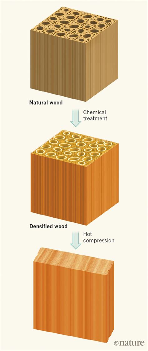 How can I make wood stronger naturally?