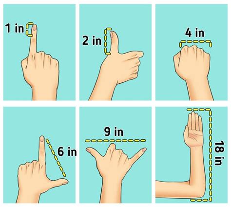 How can I measure 12 inches without a ruler?