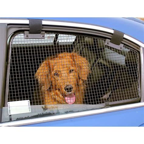 How can I protect my car from my dog?
