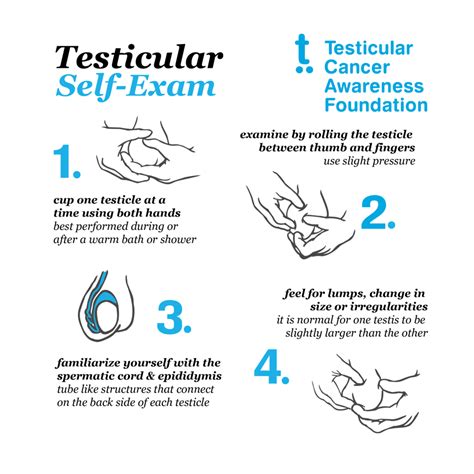 How can I relax my testicle pain?