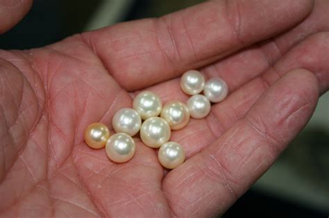 How can I tell if my Akoya pearls are real?