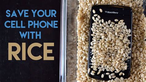 How can rice help your phone?