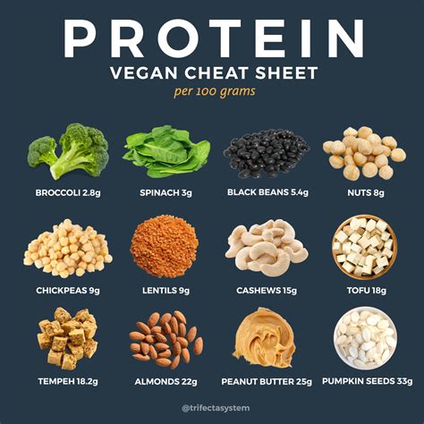 How can vegans get 60g protein a day?