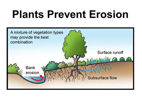 How can we prevent erosion for kids?