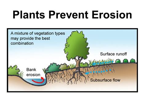 How can we prevent river erosion?