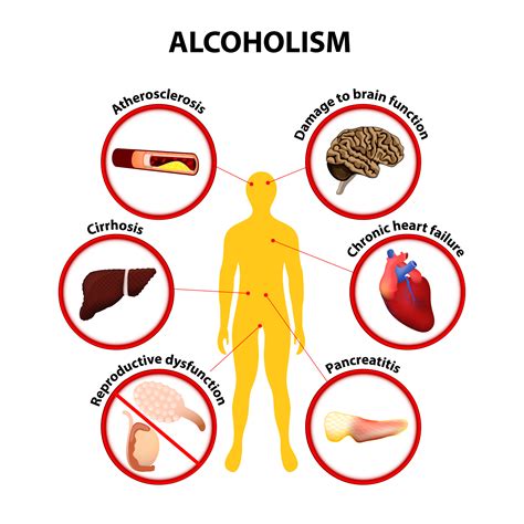 How can we reduce the harmful effects of alcohol?