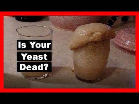 How can yeast be killed?