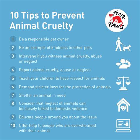 How can you stop cruelty towards animals?
