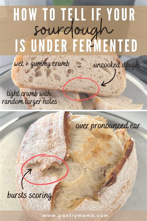 How can you tell a dough is under fermented?