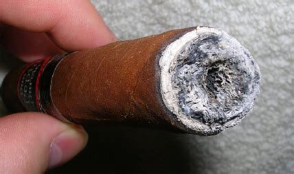 How can you tell if a cigar is bad?