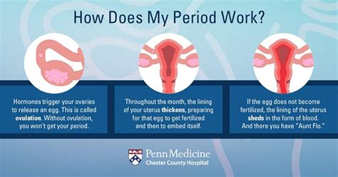 How can you tell if a woman is on her period?