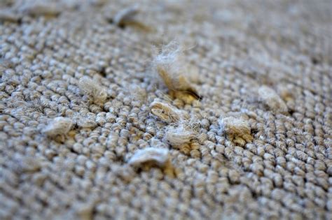 How can you tell if carpet is bad quality?