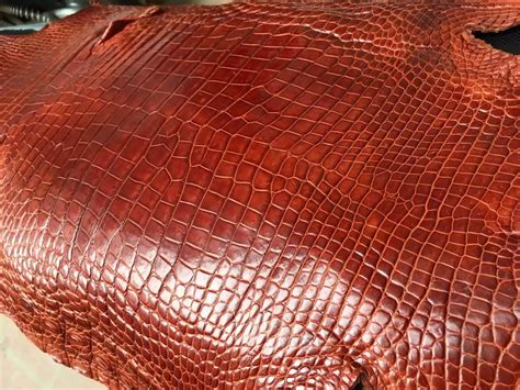 How can you tell if crocodile leather is real?